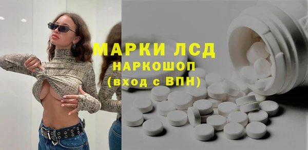индика Беломорск