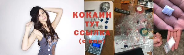 МДПВ Бородино