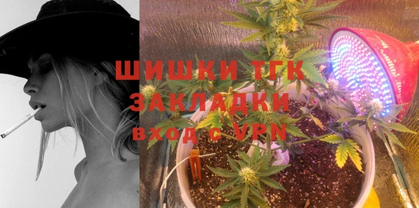 индика Беломорск
