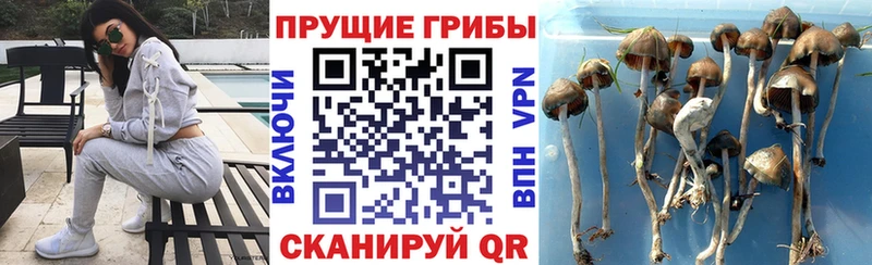 Галлюциногенные грибы мицелий ссылка на мегу ТОР Кораблино закладка